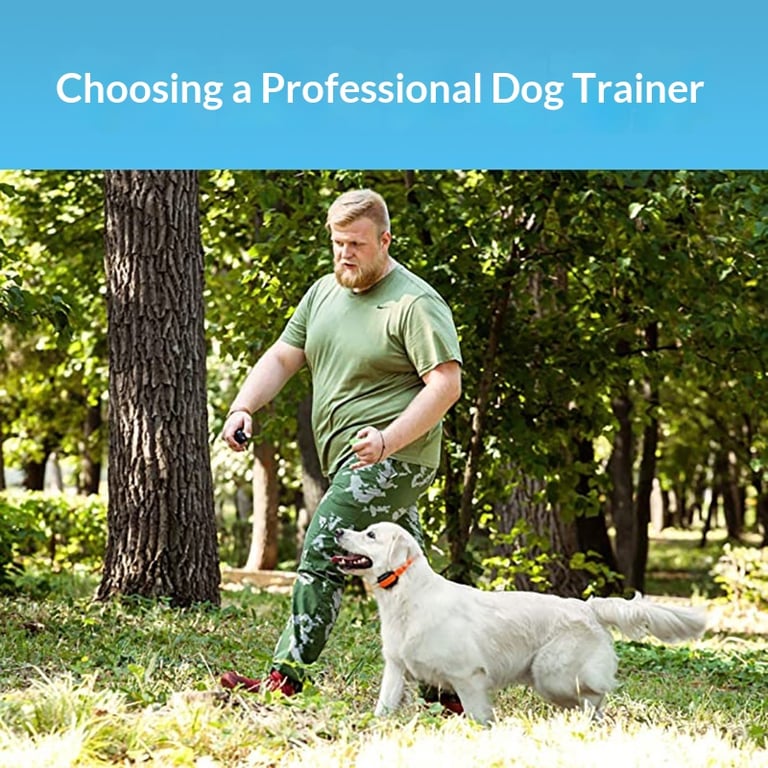 1km Remote Dog Training Collar | IPX7 Waterproof Pet Trainer