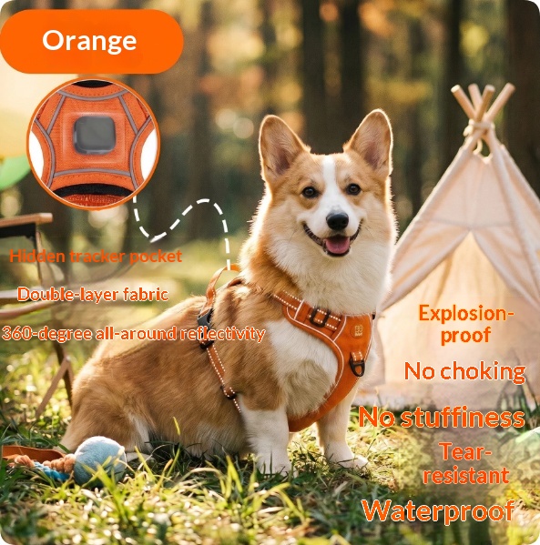 Harness-Style Reflective Dog Leash with Anti-Pull Feature | Captain Fam