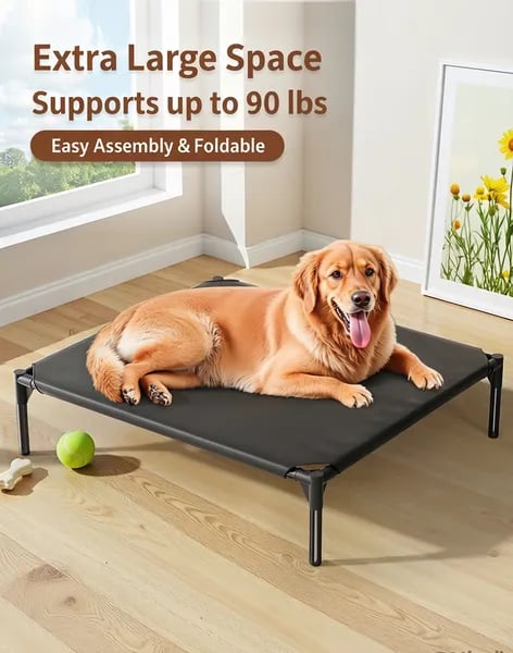 Elevated Foldable Pet Bed | Waterproof Mesh Dog & Cat Bed Canada